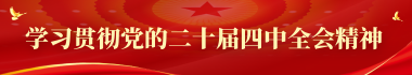 學習貫徹黨的二十屆四中全會精神